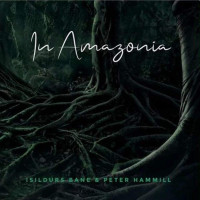 LPIsildurs Bane & Peter Hammill / In Amazonia / Vinyl
