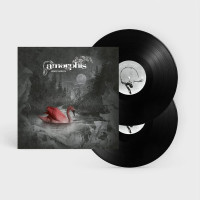 2LPAmorphis / Silent Waters / Vinyl / 2LP