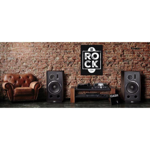HIFI / HIFI / Repro sloupov�:Magnat Transpuls 1500 / Mocca / 2ks