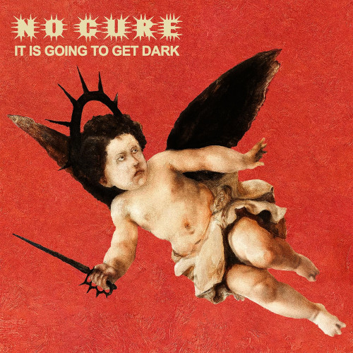 LP / No Cure / It Is Going To Get Dark / Transparent Red / Vinyl
