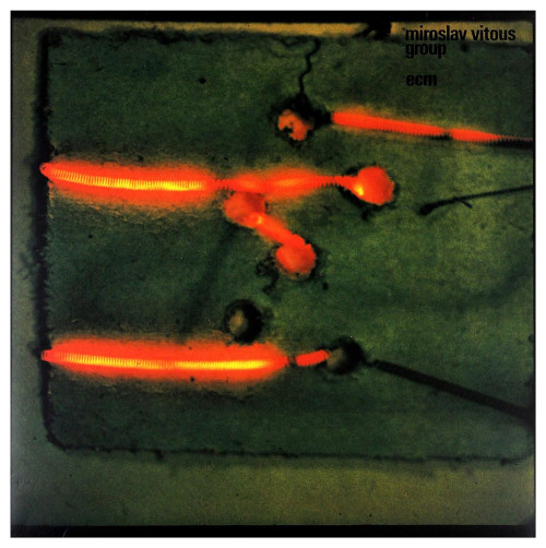 LP / Vitou� Miroslav / Miroslav Vitous Group / 180gr / Vinyl