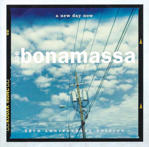 2LP / Bonamassa Joe / New Day Now / Blue / Vinyl / 2LP
