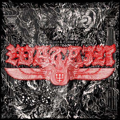 LP / Watain / Agony & Ecstasy Of Watain / Vinyl