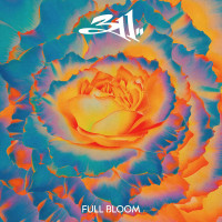 CD311 / Full Bloom