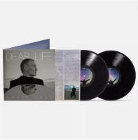 2LPGray David / Dear Life / Vinyl / 2LP