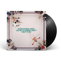 LPGrennan Tom / Everywhere I Went, Led Me To Where I... / Vinyl
