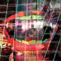 CDAnimal Collective / Centipede HZ