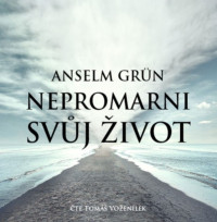 CDGr�n Anselm / Nepromarni sv�j �ivot / MP3
