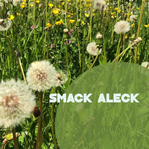 CD / Smack Aleck / Unavoidable
