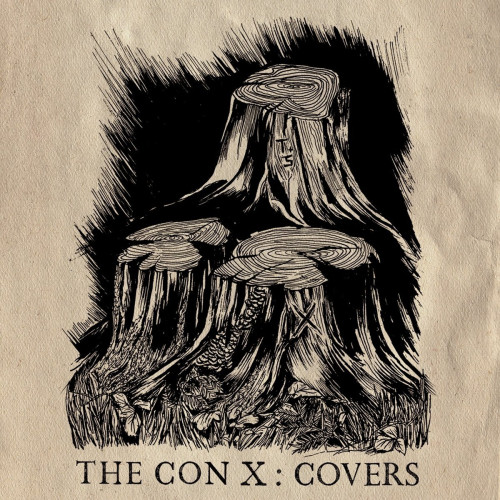 CD / Various / The Con X:Covers