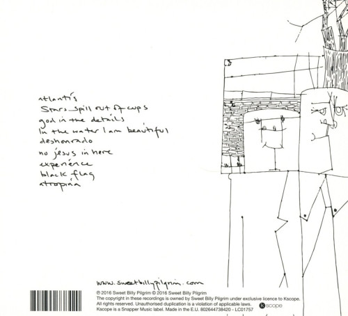 CD / Sweet Billy Pilgrim / We Just Did What Happened And No One.. / D