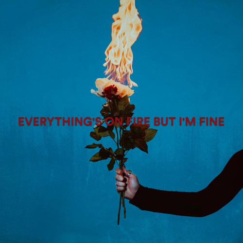 LP / As December Falls / Everything's On Fire But Im Fine / Vinyl