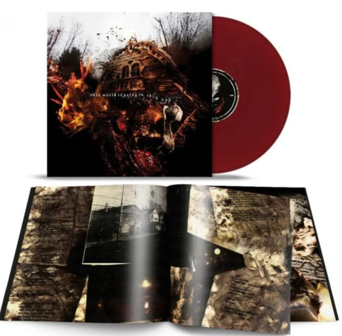 LP / Vein F.M. / This World Is Going To Ruin You / Red / Vinyl