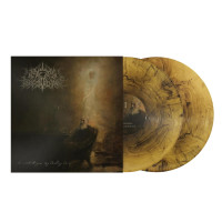 2LPWake In Providence / I Write To You,My Darling... / Vinyl / 2LP