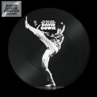LPBowie David / Man Who Sold The World / Vinyl / Picture