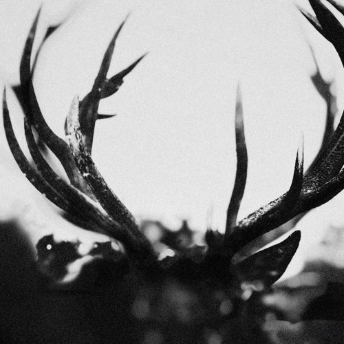2LP / Ihsahn / Ihsahn / Orchestral Version / Vinyl / 2LP