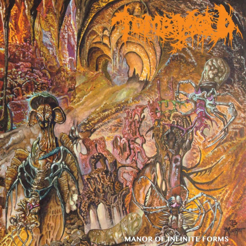 LP / Tomb Mold / Manor of Infinite Forms / Vinyl