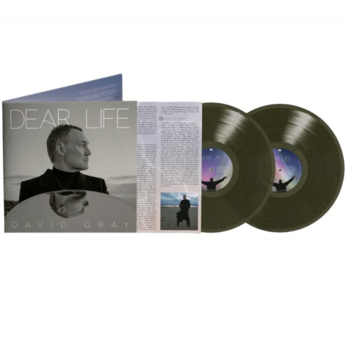 2LP / Gray David / Dear Life / Green / Vinyl / 2LP