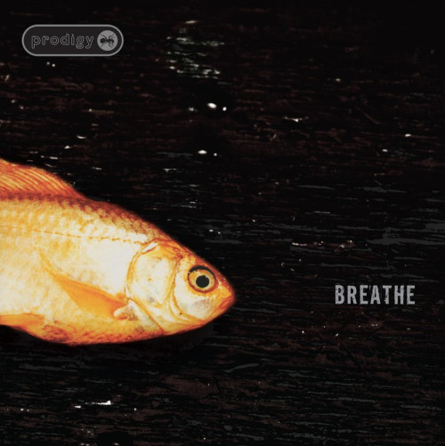 LP / Prodigy / Breathe / Maxi-Single / Vinyl