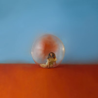 CDCara Alessia / In The Meantime