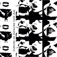 CDKrejcar Libor & Tamers Of Flowers / Last Day