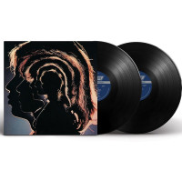 2LPRolling Stones / Hot Rocks 1964-1971 / Vinyl / 2LP