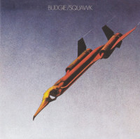 LPBudgie / Squawk / Vinyl