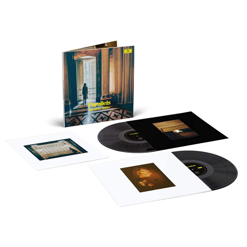 2LP / Loffler Christian / Parallels: Shellac Reworks / Vinyl / 2LP