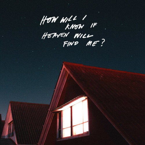 2LP / Amazons / How Will I Know If Heaven Will Find Me? / Vinyl / 2LP