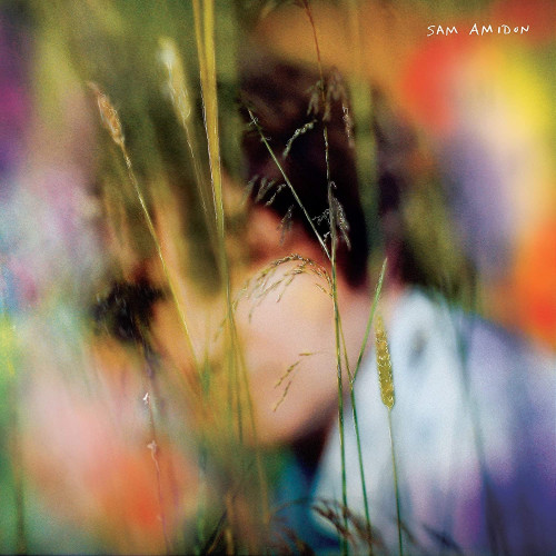 2LP / Amidon Sam / Sam Amidon / Vinyl / 2LP