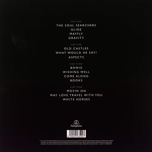 2LP / Weller Paul / True Meanings / Vinyl / 2LP