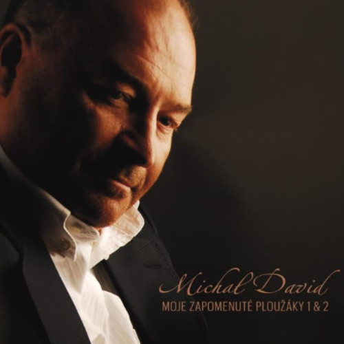 2CD / David Michal / Moje zapomenut� plou��ky 1+2 / 2CD