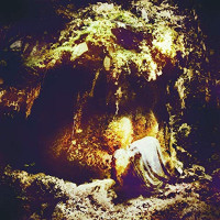2LPWolves In The Throne Room / Celestial Lineage / Vinyl / 2LP