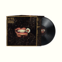 LP/CDHozier / Unreal Unearth / Vinyl / LP+2CD