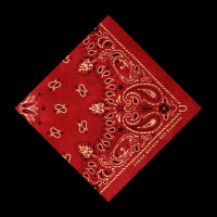 CDWatson Aaron / Red Bandana