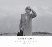 2CDSylvian David / Victim Of Stars1982-2012 / 2CD