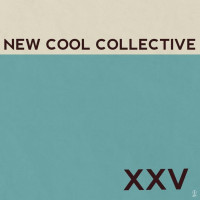 LPNew Cool Collective / Xxv / Coloured / Deluxe / Vinyl