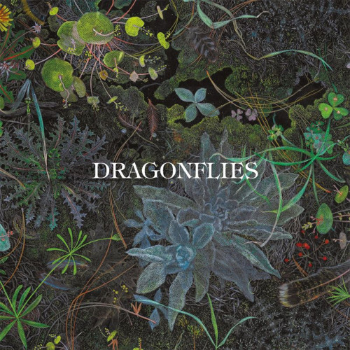 CD / Dragonflies / Dragonflies