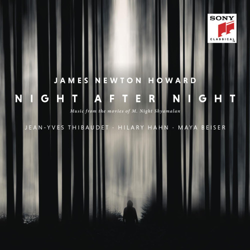 2LP / Newton Howard James / Night After Night / Vinyl / 2LP