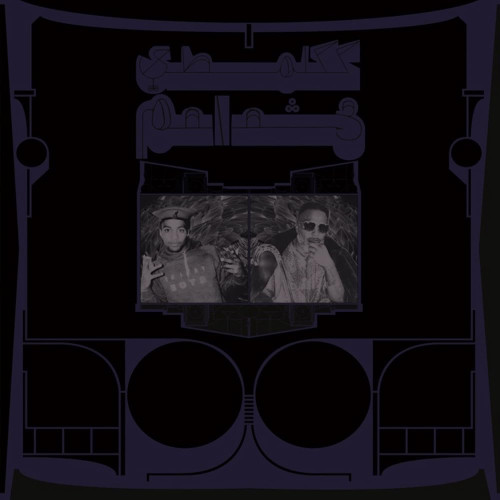 CD / Shabazz Palaces / Exotic Birds Of Prey