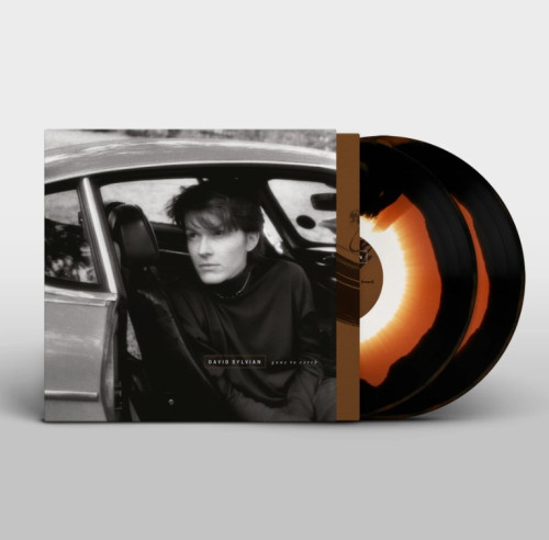 2LP / Sylvian David / Gone To Earth / Colured / Vinyl / 2LP
