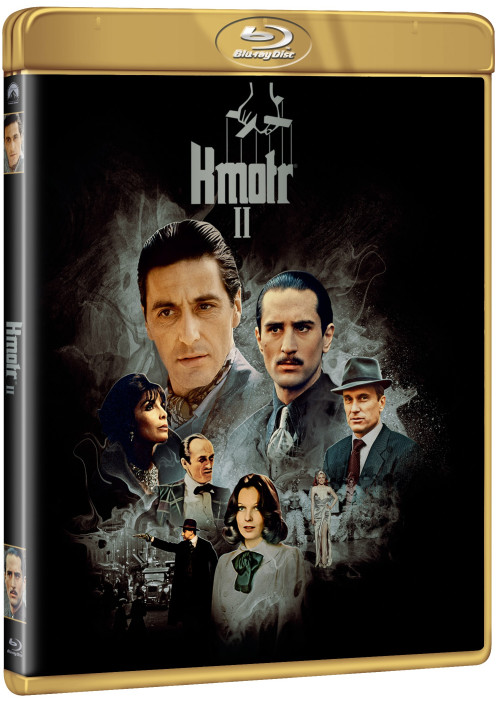 Blu-Ray / FILM /  Kmotr II / Oscarov� edice / Blu-Ray