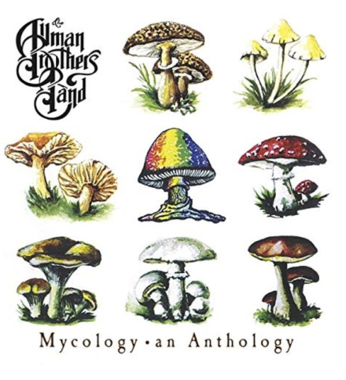 CD / Allman Brothers Band / Mycology: an Anthology