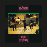 LPBuzzcocks / Singles Going Steady / Vinyl