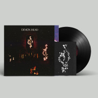 LPDemon Head / Through Holes Shine The Stars / Vinyl