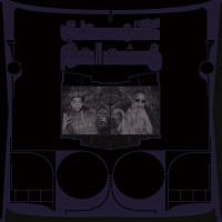 LPShabazz Palaces / Exotic Birds Of Prey / Vinyl