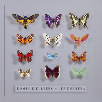 CDEulberg Dominik / Lepidoptera / Digipack
