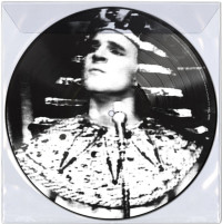 LPMartin Steve / King Tut / Picture / Vinyl
