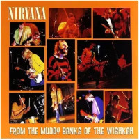 CDNirvana / From The Muddy Banks Of The Wishkah