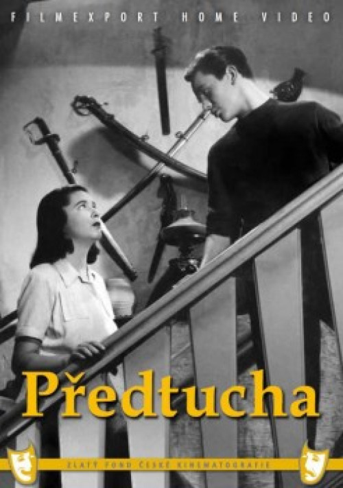DVD / FILM / P�edtucha